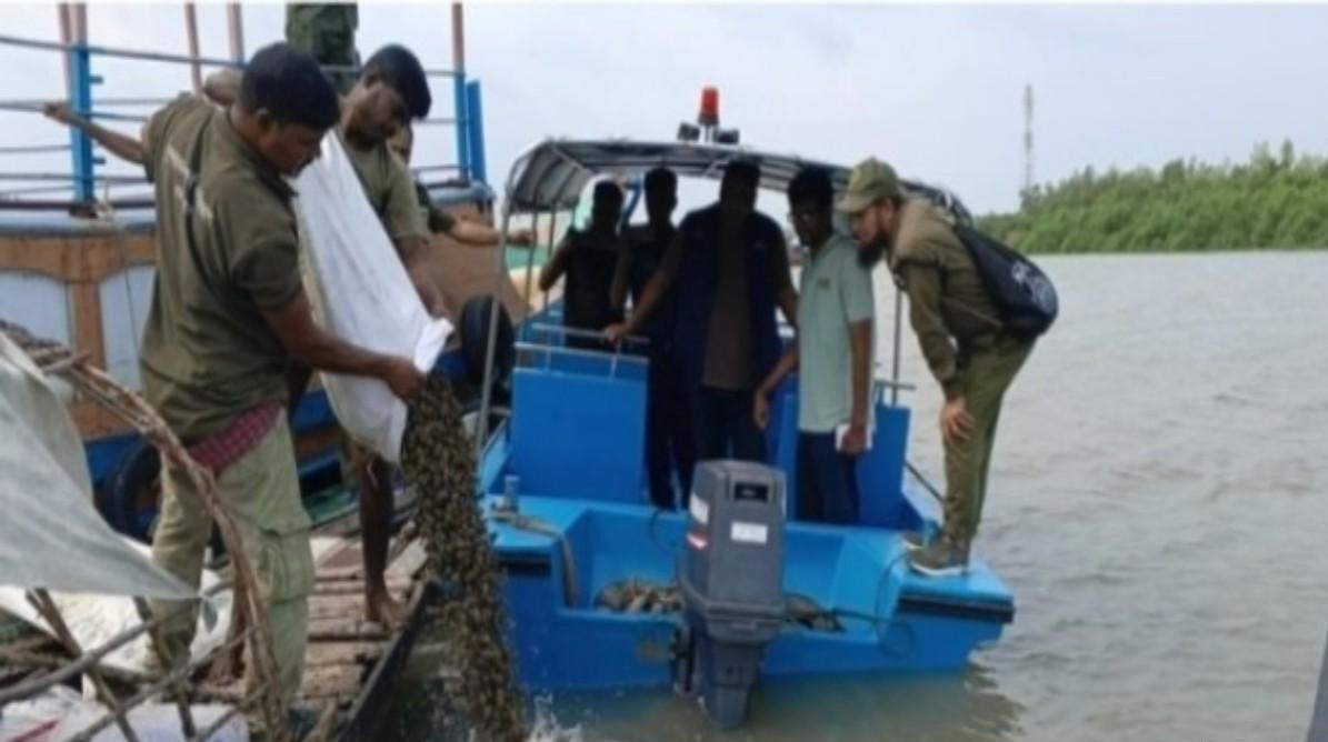 শ্যামনগরে জব্দকৃত শামুক সুন্দরবনের নদীতে অবমুক্ত