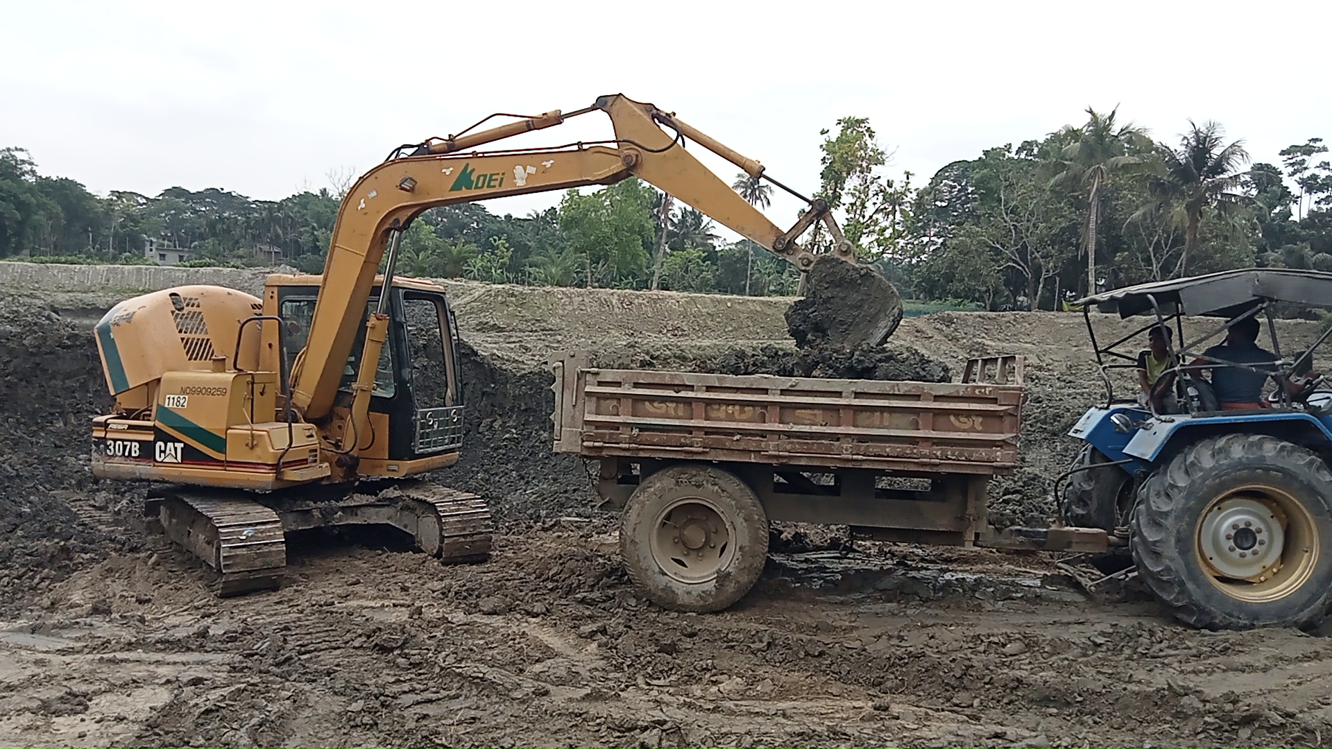 কলারোয়ায় ফসলি জমির মাটি বিক্রির মহোৎসব