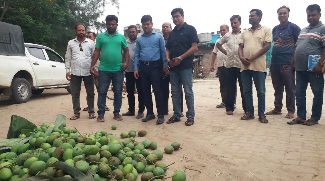 পাটকেলঘাটায় ২শ কেজি আম আটক করে ধ্বংশ