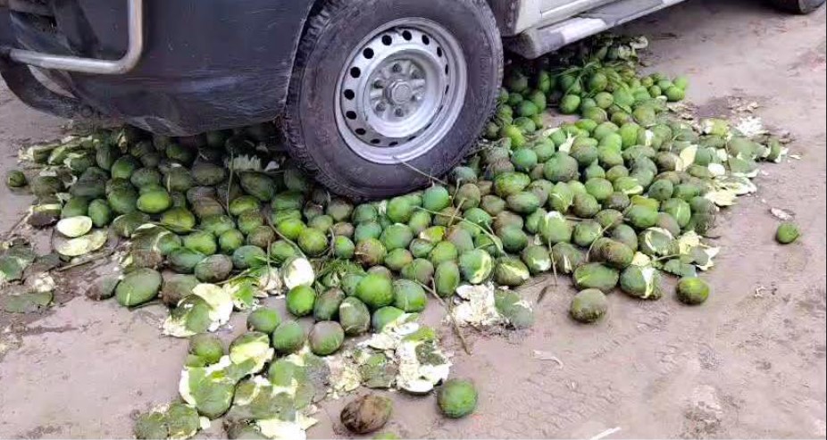 তালায় ২০০ কেজি  আম জব্দ, ব্যবসায়ীর জরিমানা