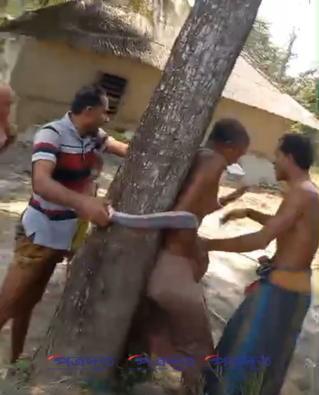 শ্যামনগরে জমি জবরদখলে বাধা এক বৃদ্ধকে গাছে বেঁধে নির্যাতন