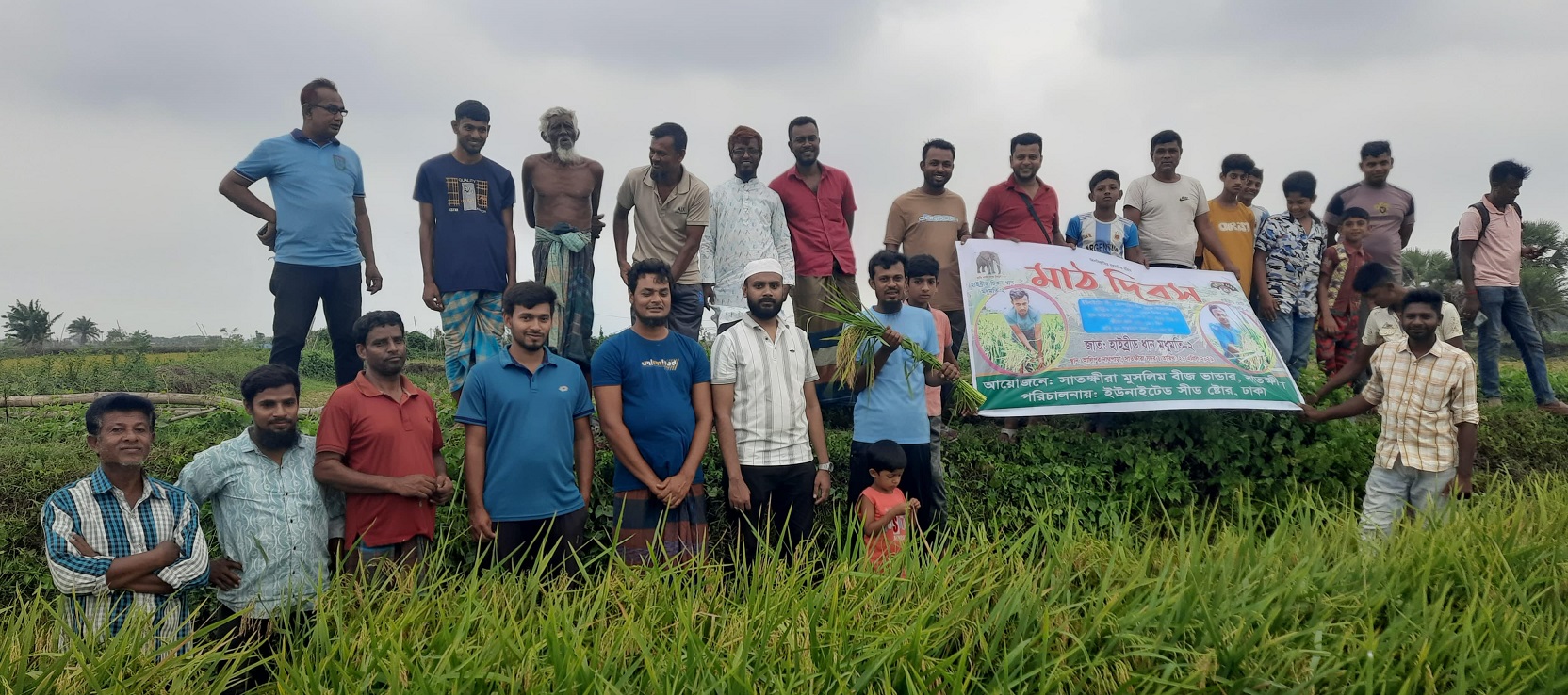 সাতক্ষীরায় ‘মধুমতি-২’ হাইব্রিড ধানের মাঠ দিবস