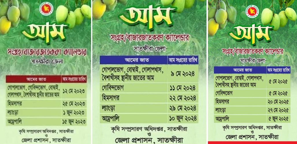 প্রকৃতির ঘড়িতেই আগে পাকছে সাতক্ষীরার আম, এবারও কি বদলাবে আম ক্যালেন্ডার?