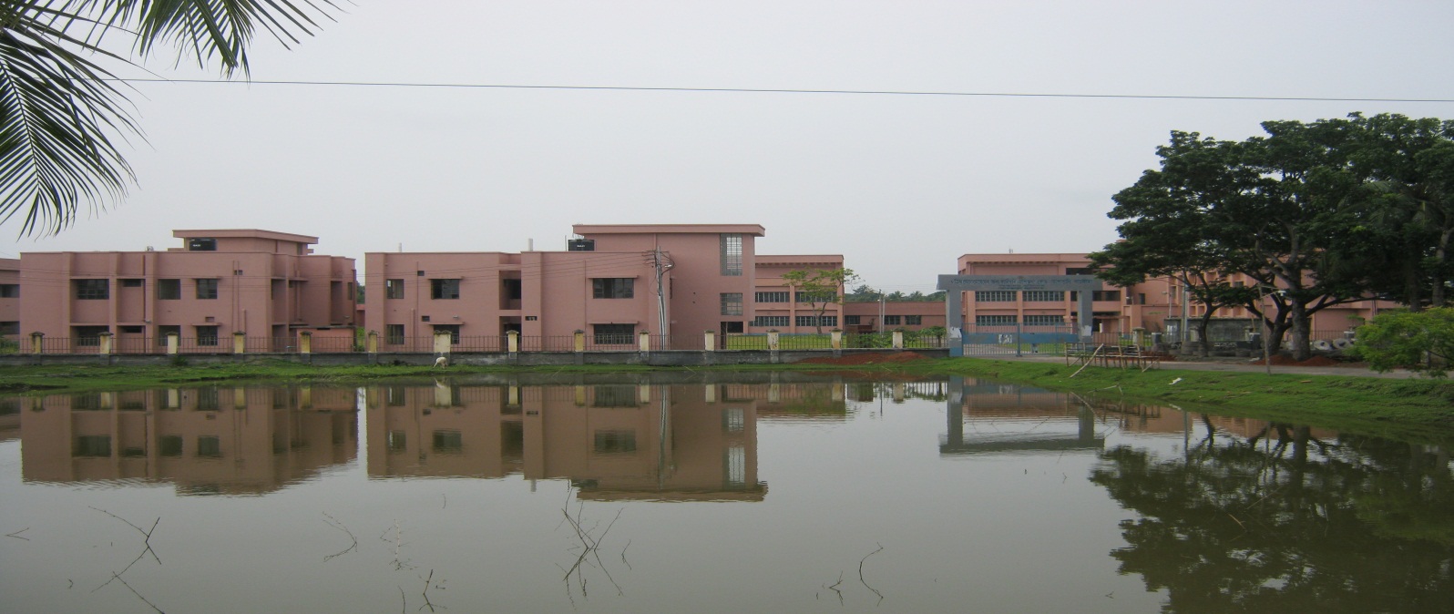 আশাশুনিতে অবৈধ আর্থিক জাল, ঝুঁকিতে মানুষের কষ্টার্জিত সঞ্চয়