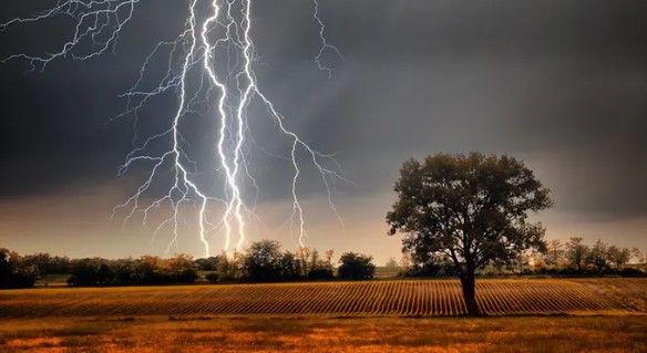 বজ্রের আঘাতে মৃত্যু: সতর্কতার অভাব, নাকি নীরব দুর্যোগ?