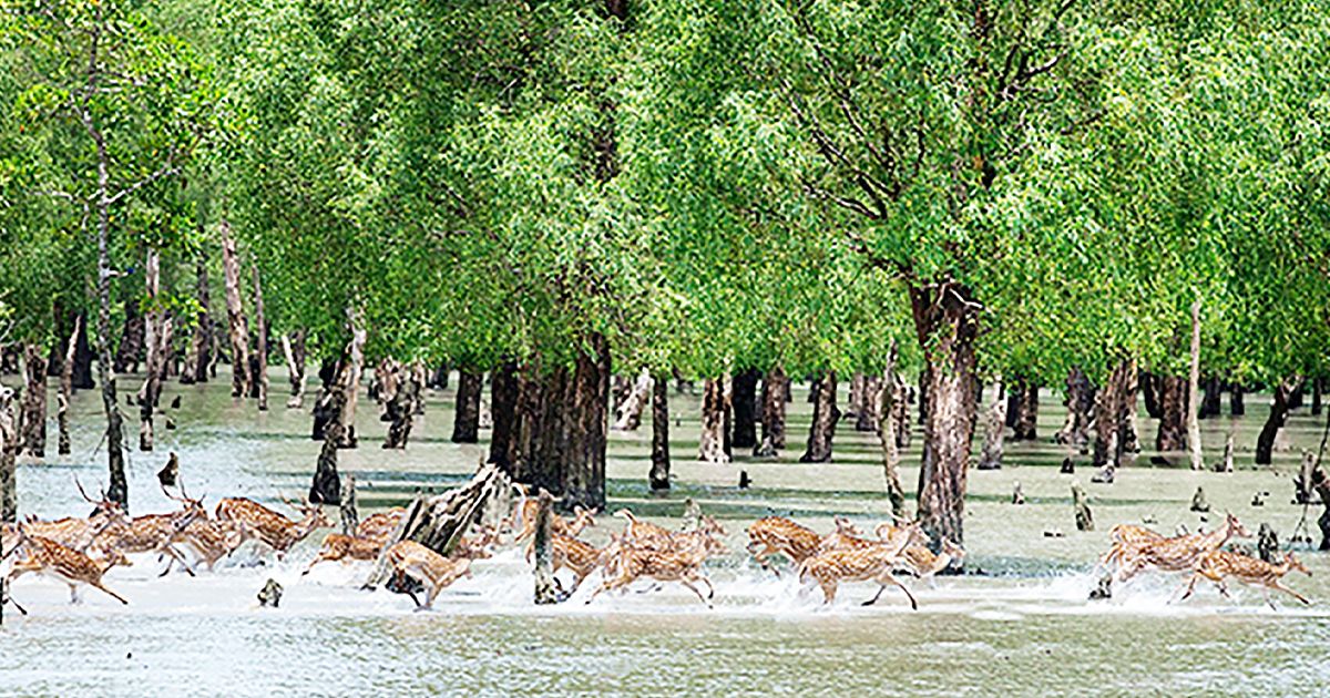 ধরিত্রী আমাদের অস্তিত্বের একমাত্র আধার