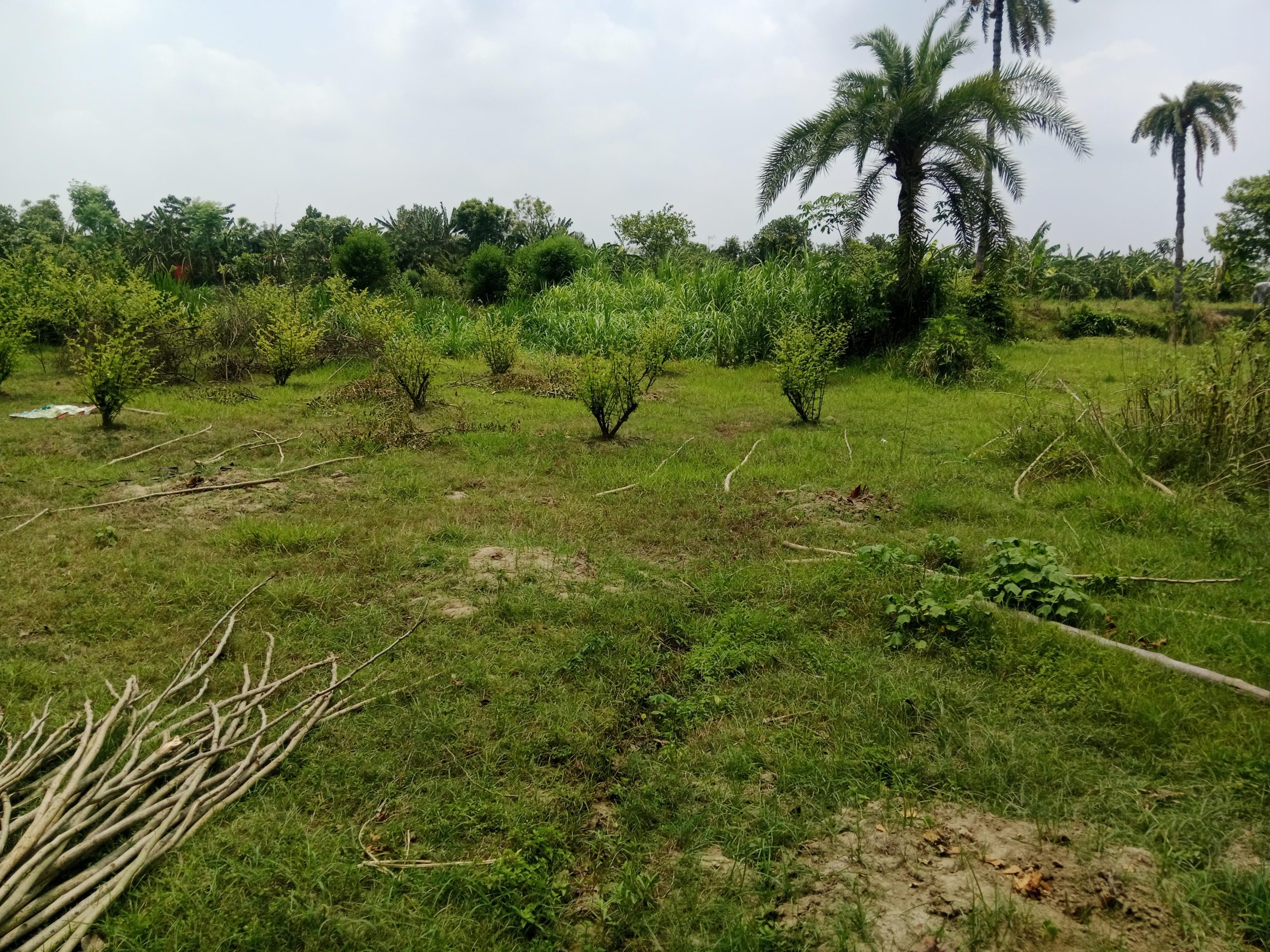 কেশবপুরে জমি দখল ও চাঁদা দাবির অভিযোগে থানায় অভিযোগ
