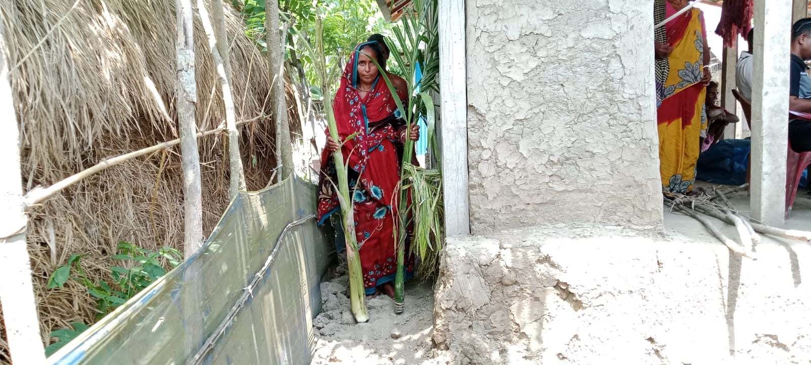 শ্যামনগরের ধুমঘাটে চলাচলের পথের জন্য গাছ কেটে ক্ষয়ক্ষতি, থানায় অভিযোগ