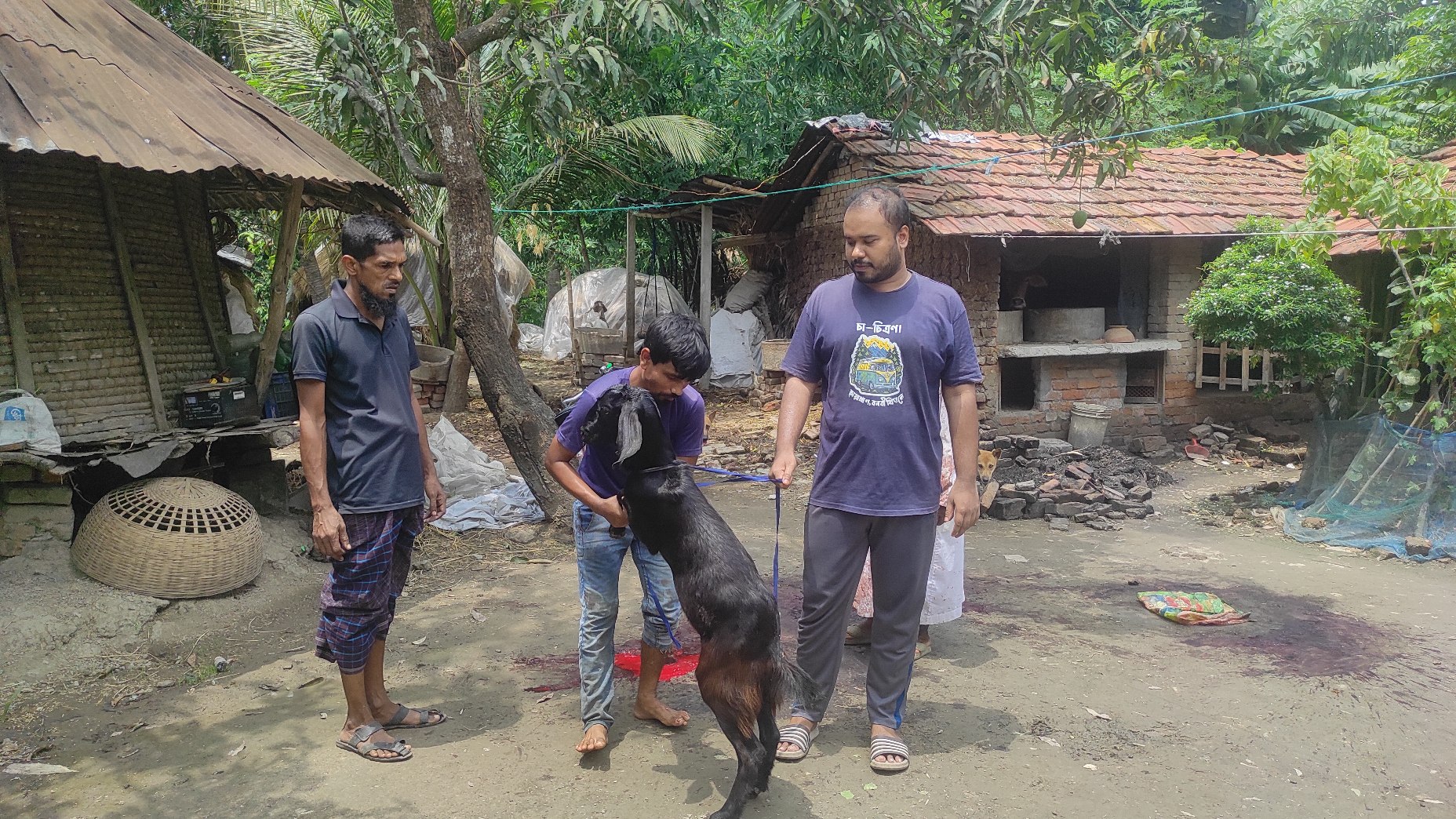 নিজের উপার্জনে প্রথম কোরবানি: তরুণদের চোখে অন্যরকম ঈদের আনন্দ