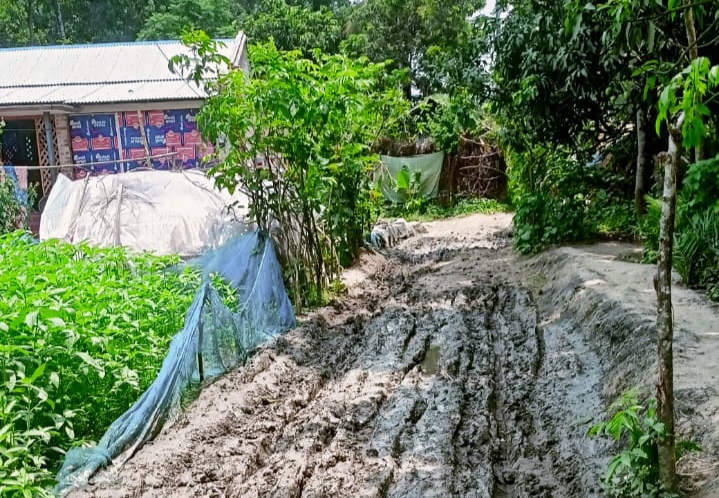 শার্শায় ১ কিলোমিটার কাঁচা রাস্তা, ‘গৃহবন্দী’ শতাধিক পরিবার