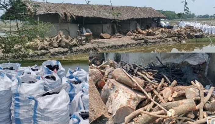 আশাশুনিতে লোকালয়ে অবৈধ কয়লা চুল্লি, ধোঁয়ায় বিপন্ন জনস্বাস্থ্য ও প্রকৃতি