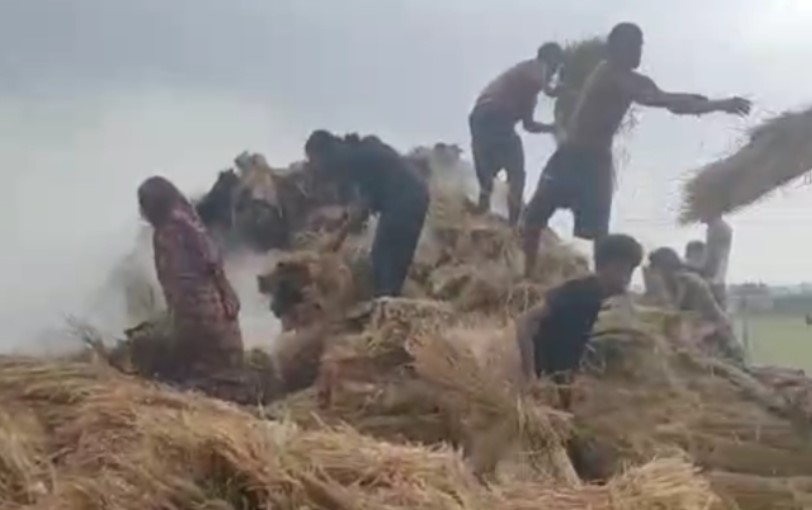 যুগীপোতায় ধান ও বিচলীর গাদায় আগুন