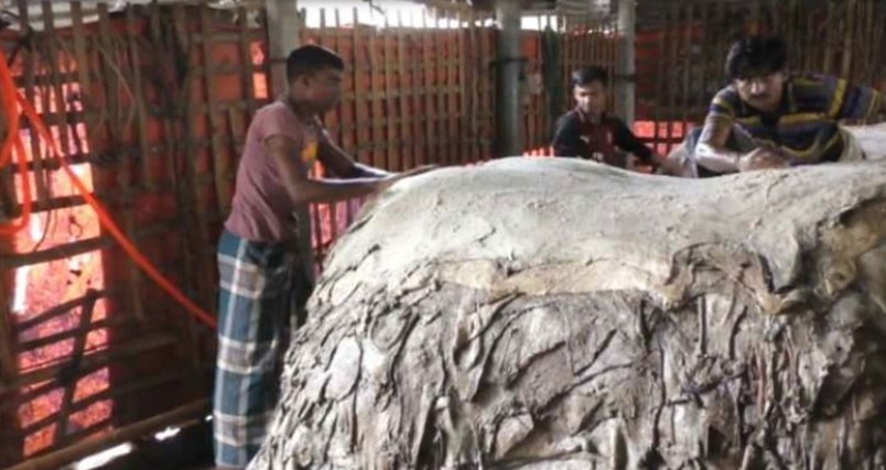 লোকসান ঠেকাতে লবণের অনুদান চেয়ে বাণিজ্য মন্ত্রণালয়ে সাতক্ষীরার চামড়া ব্যবসায়ীদের আবেদন