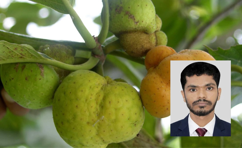 হারিয়ে যাচ্ছে ‘ডেউয়া’, হারাচ্ছি খাঁটি পুষ্টি