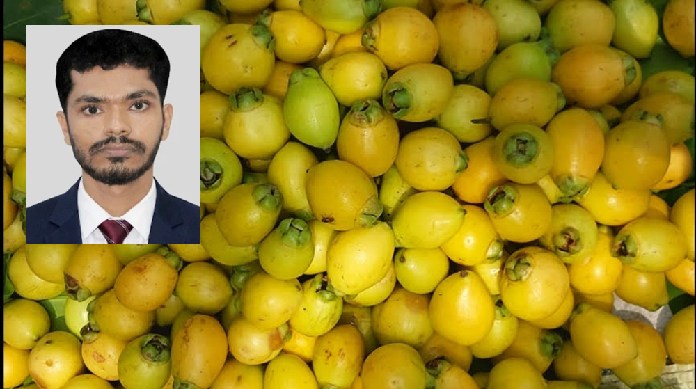 হারিয়ে যাওয়া আভিজাত্য: অন্দরমহলের ‘গোলাপ জাম’