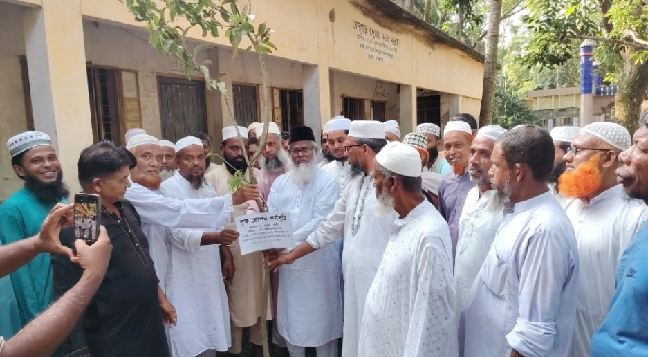 মনিরামপুরে মাদ্রাসা প্রাঙ্গণে বৃক্ষরোপণ করলেন এমপি গাজী এনামুল হক