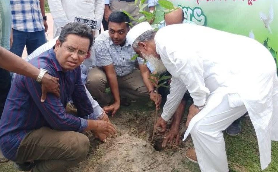 কলারোয়ায় বৃক্ষরোপণ কর্মসূচির উদ্বোধন করলেন সংসদ সদস্য অধ্যক্ষ ইজ্জত উল্লাহ