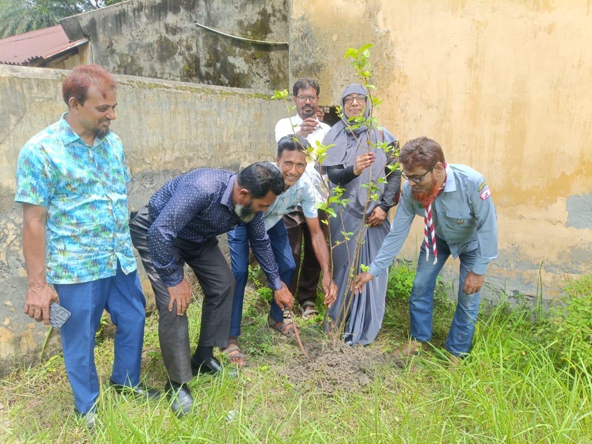 ছফুরননেছা মহিলা কলেজে বৃক্ষরোপণ