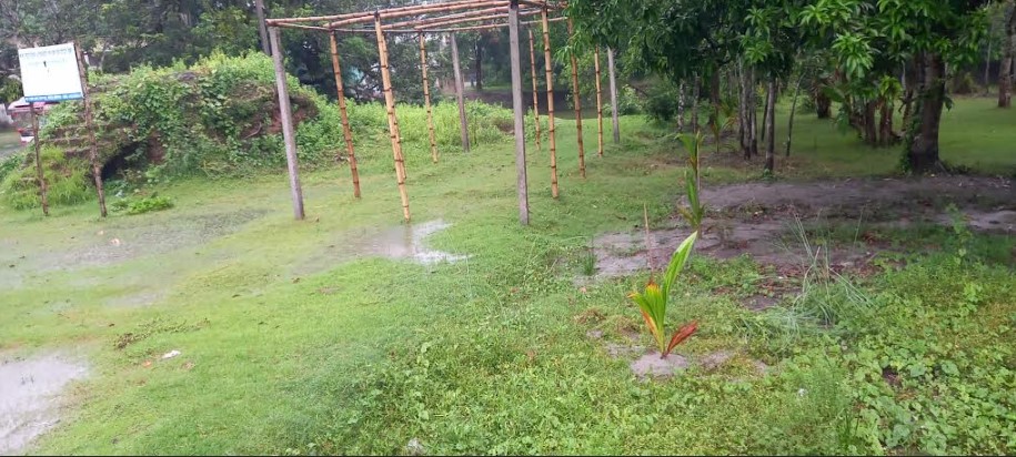 বাজার খোলা ভোলানাথ সুখদা সুন্দরী দোল মন্দিরে নারকেলের চারা রোপন