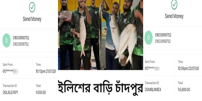 অনলাইনে চাঁদপুরের ইলিশের লোভনীয় বিজ্ঞাপন: কলারোয়ায় প্রতারণার শিকার ক্রেতারা