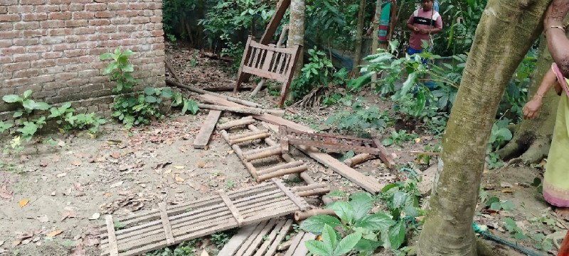 কলারোয়ায় ছোটো ভাইয়ের বসতবাড়ি দখলের চেষ্টা বড়ো ভাইয়ের