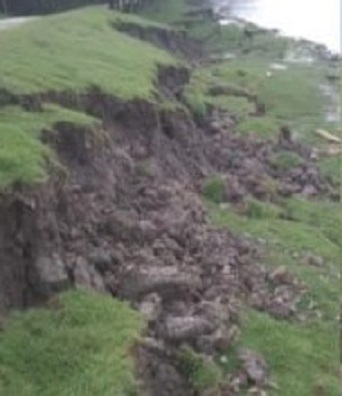 আশাশুনির নওয়াপাড়ায় বেতনা নদীর বেড়িবাঁধে ধ্বস, ঝুঁকিতে বিস্তীর্ণ এলাকা