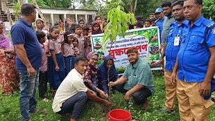 কেরালকাতায় বিদ্যালয় প্রাঙ্গণে চারা বিতরণ ও রোপণ উৎসব