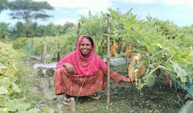 মালচিং পেপারে তালায় অমৌসুমী তরমুজ চাষে সাফল্য