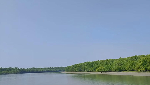 সুন্দরবনে আত্মসমর্পণকারী বনদস্যুরা আবারও সক্রিয়? জেলেদের অভিযোগে নতুন আতঙ্ক