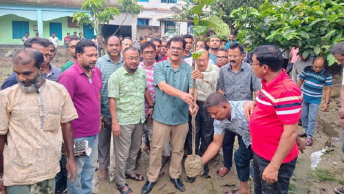 কলারোয়ায় নতুন সড়কের কাজের উদ্বোধন করলেন জেলা পরিষদ প্রশাসক