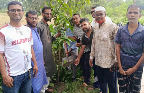 বিডিএফ প্রেসক্লাবের উদ্যোগে বৃক্ষরোপন কর্মসূচি