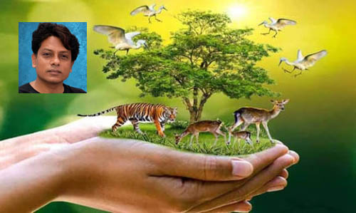আন্তর্জাতিক গৃহহীন প্রাণি দিবস: সহমর্মিতা, দায়িত্ববোধ ও সহাবস্থানের আহ্বান