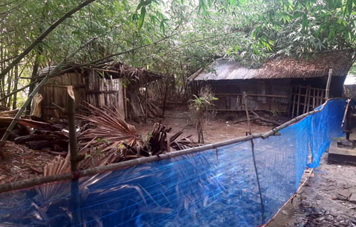 কালিগঞ্জে ৬টি হিন্দু পরিবারের ২৫ শতক জমি জবর দখল