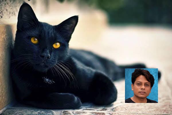 জাতীয় কালো বিড়াল মূল্যায়ন দিবস: কুসংস্কার ভেঙে সহমর্মিতার বার্তা