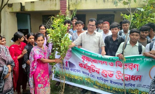 দলুয়া শহীদ জিয়াউর রহমান কলেজে চারা বিতরণ করলেন জেলা পরিষদ প্রশাসক হাবিব