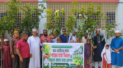 এনবিবিকে আল-মদিনা দাখিল মাদ্রাসায় সবুজায়ন কর্মসূচি