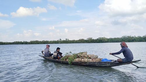 নিষেধাজ্ঞার মধ্যেও সুন্দরবনে ঢুকছেন মানুষ, ১৮ দিনে ৪৪ জন আটক