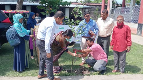 পরিবেশ ভারসাম্য রক্ষায় বৃক্ষরোপণের কোনো বিকল্প নেই: জেলা প্রশাসক