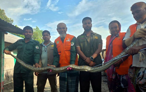 কয়রায় ১০ ফুট লম্বা অজগর সাপ উদ্ধার, বনে অবমুক্ত