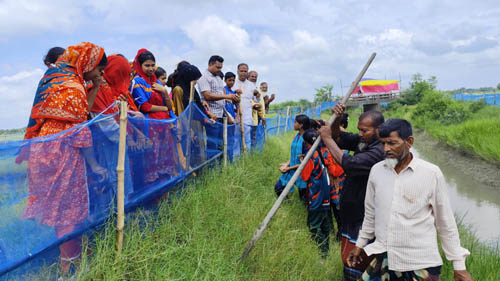 চিনাডাঙ্গায় তিলেরআটী খাল পরিষ্কার ও তালের বীজ রোপণ