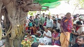 গুড়পুকুরপাড়ে মনসা পূজা, মেলার অপেক্ষায় সাতক্ষীরা
