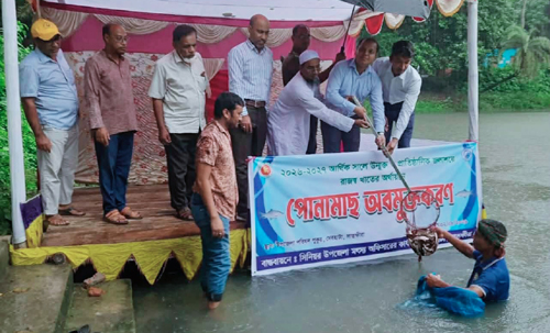 দেবহাটায় ৪০০ কেজি মাছের পোনা অবমুক্ত
