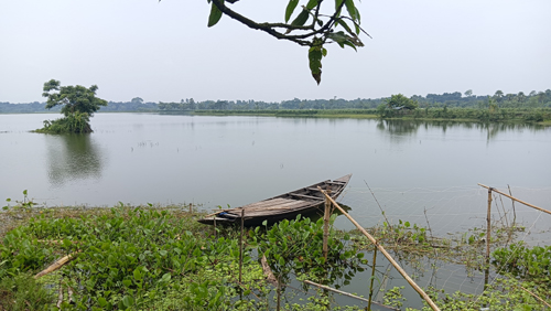 তালার খড়ের ডাঙ্গা বিলে দুই দশক ধরে মৎস্যচাষ, বাড়ছে উৎপাদন