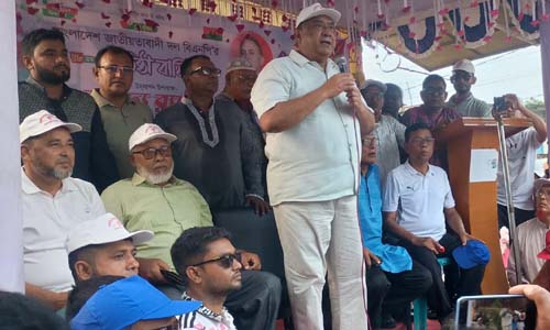 দেবহাটায় বিএনপির ৪৮তম প্রতিষ্ঠা বার্ষিকী উপলক্ষে র‌্যালি ও আলোচনা সভা