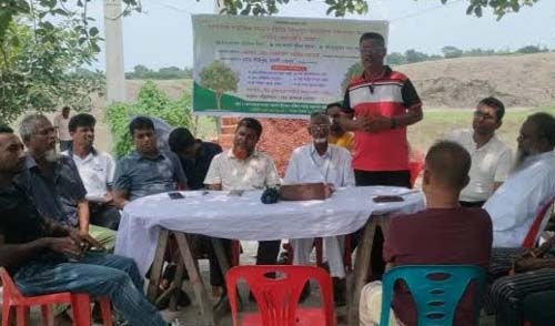 আশাশুনির বড়দলে তালের আঁটি রোপণ কর্মসূচি