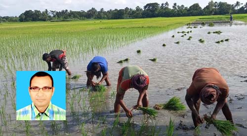 বর্ষাকাল কৃষিকাজের মূল চালিকা শক্তি