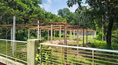 বিদ্যালয়ের পাশে পোল্ট্রি খামার বন্ধের নির্দেশ ও মাদক মুক্ত পরিবেশের দাবি