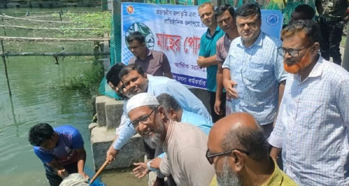 আশাশুনিতে ২৭ জলাশয়ে ৩৩৩ কেজি মাছের পোনা অবমুক্ত