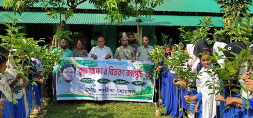 চেয়ারম্যান প্রার্থী শামীমের মাসব্যাপী বৃক্ষরোপণ কর্মসূচি