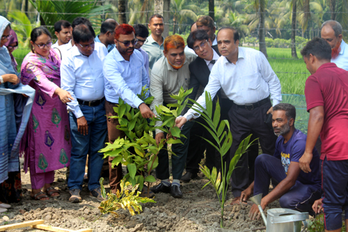 সাতক্ষীরা সরকারি কলেজে মিয়াওয়াকি বনায়নের উদ্বোধন